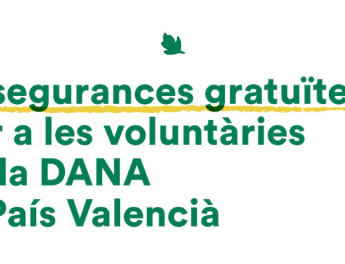 Assegurances gratuïtes per a les voluntàries de la DANA al País Valencià