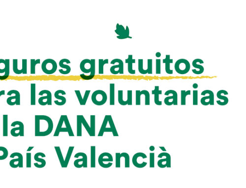 Seguros gratuitos para las voluntarias de la DANA al País Valencià