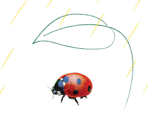 Arç Cooperativa habilitem un nou canal de denúncies i sistema intern d’informació